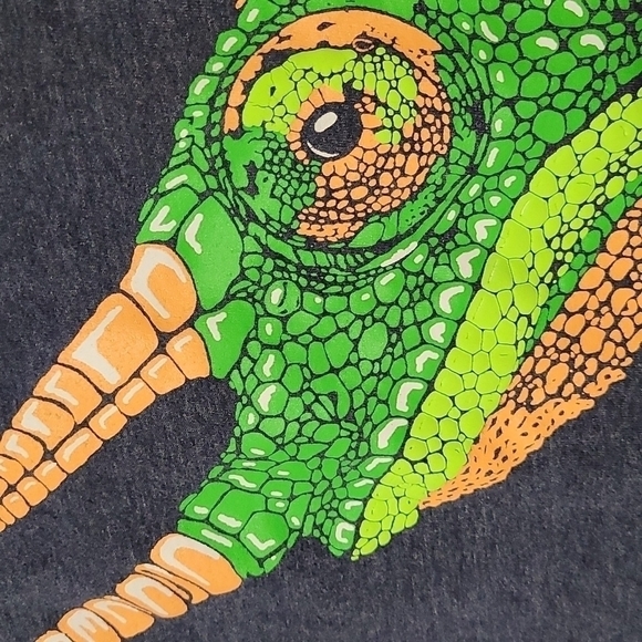 𝅺Cat & Jack boys XL(16) t-shirt 🦎 Iguana/Lizzard - Picture 2 of 3